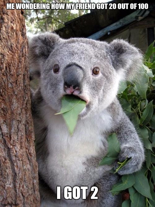 koala | ME WONDERING HOW MY FRIEND GOT 20 OUT OF 100; I GOT 2 | image tagged in memes,surprised koala,funny memes,funny | made w/ Imgflip meme maker