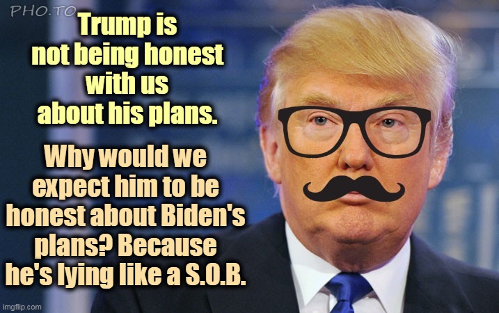 Trump lying? What a novel thought! | Trump is not being honest with us about his plans. Why would we expect him to be honest about Biden's plans? Because he's lying like a S.O.B. | image tagged in trump hiding dishonest,trump,liar,dishonest,deception | made w/ Imgflip meme maker