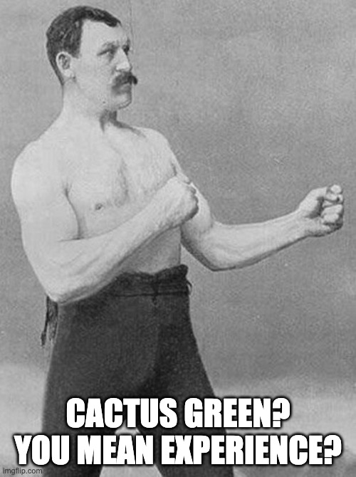 tru tho | CACTUS GREEN? YOU MEAN EXPERIENCE? | image tagged in boxer | made w/ Imgflip meme maker