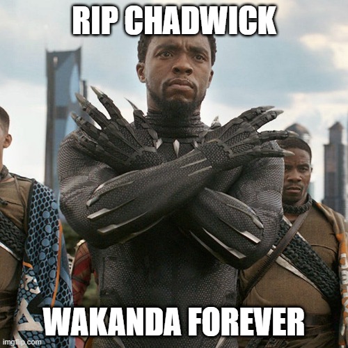 Wakanda Forever | RIP CHADWICK; WAKANDA FOREVER | image tagged in wakanda forever | made w/ Imgflip meme maker