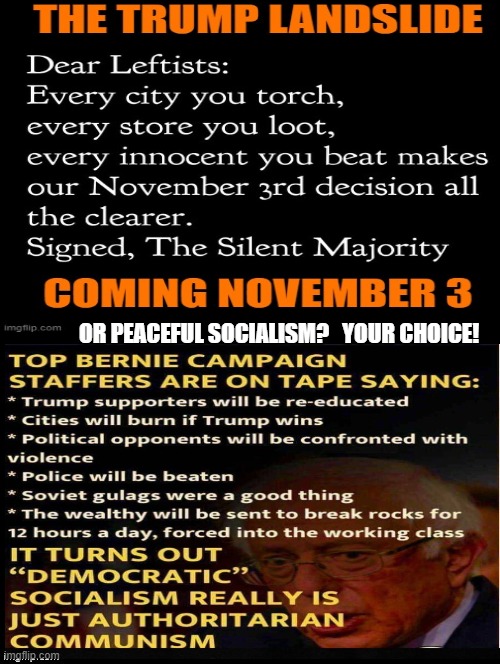 The Trump Landslide or "Peaceful Socialism" Choose Wisely November 3, 2020! | OR PEACEFUL SOCIALISM?   YOUR CHOICE! | image tagged in trump,stupid liberals,joe biden | made w/ Imgflip meme maker