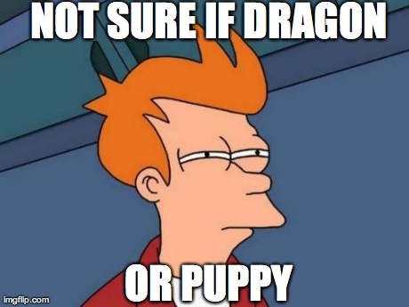 Futurama Fry Meme | NOT SURE IF DRAGON OR PUPPY | image tagged in memes,futurama fry | made w/ Imgflip meme maker