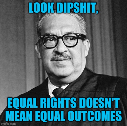 "Equality" confuses people | LOOK DIPSHIT, EQUAL RIGHTS DOESN'T MEAN EQUAL OUTCOMES | image tagged in thurgood marshall | made w/ Imgflip meme maker
