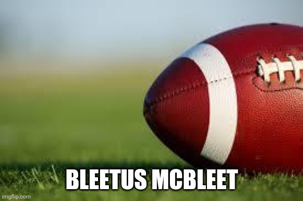 football field | BLEETUS MCBLEET | image tagged in football field | made w/ Imgflip meme maker