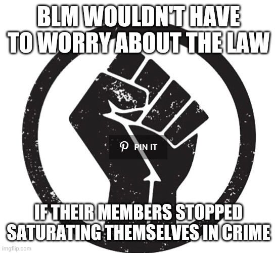 BLM Fist | BLM WOULDN'T HAVE TO WORRY ABOUT THE LAW IF THEIR MEMBERS STOPPED SATURATING THEMSELVES IN CRIME | image tagged in blm fist | made w/ Imgflip meme maker