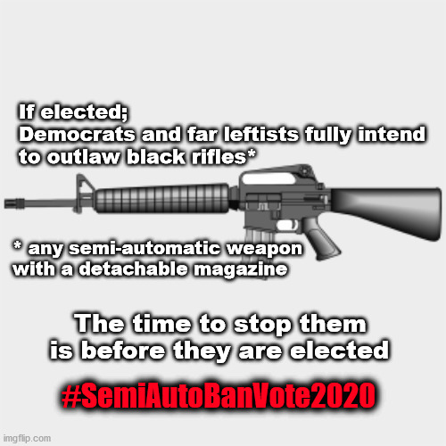 AR15 ban | If elected;
Democrats and far leftists fully intend 
to outlaw black rifles*; * any semi-automatic weapon with a detachable magazine; The time to stop them 
is before they are elected; #SemiAutoBanVote2020 | image tagged in gun control | made w/ Imgflip meme maker