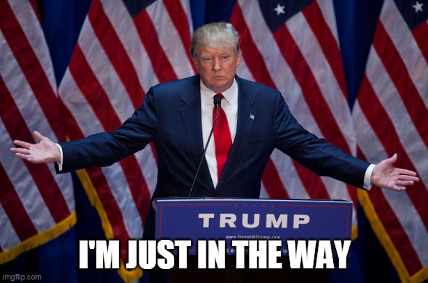 Donald Trump | I'M JUST IN THE WAY | image tagged in donald trump | made w/ Imgflip meme maker