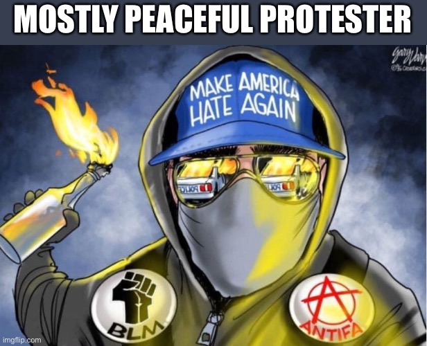 Mostly peaceful protester | MOSTLY PEACEFUL PROTESTER | image tagged in make america hate,blm,liberals,protest,destroying america,memes | made w/ Imgflip meme maker