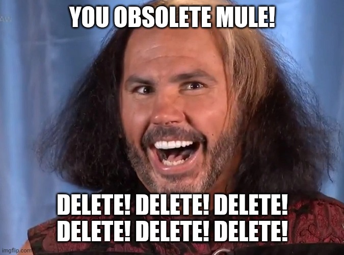 Broken Matt Hardy | YOU OBSOLETE MULE! DELETE! DELETE! DELETE! DELETE! DELETE! DELETE! | image tagged in broken matt hardy | made w/ Imgflip meme maker