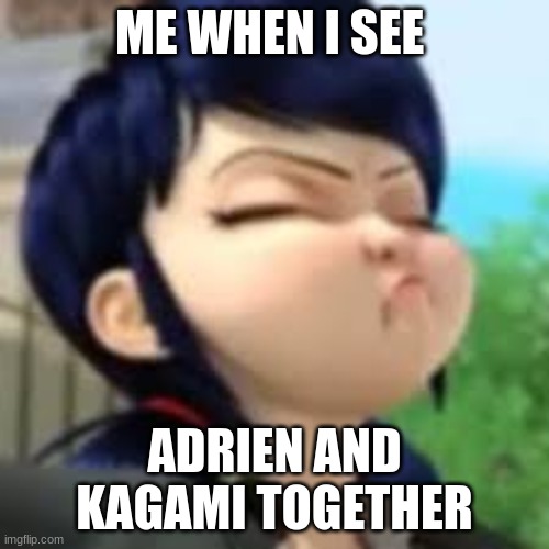 Kagami And Adrien Together | ME WHEN I SEE; ADRIEN AND KAGAMI TOGETHER | image tagged in miraculous ladybug,funny | made w/ Imgflip meme maker