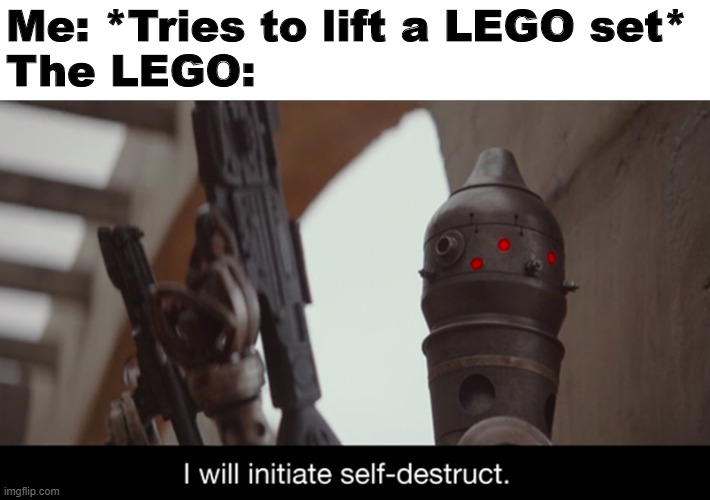 LEGO | Me: *Tries to lift a LEGO set*
The LEGO: | image tagged in i will initiate self-destruct | made w/ Imgflip meme maker