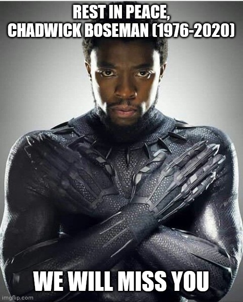 Sorry to come back to imgflip on such a sour note... | REST IN PEACE, CHADWICK BOSEMAN (1976-2020); WE WILL MISS YOU | image tagged in chadwick boseman,rest in peace | made w/ Imgflip meme maker