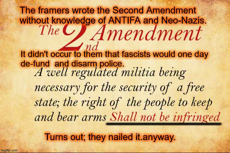 Second Amendment | The framers wrote the Second Amendment 
without knowledge of ANTIFA and Neo-Nazis. It didn't occur to them that fascists would one day
de-fund  and disarm police. _______________; Turns out; they nailed it.anyway. | image tagged in 2nd amendment | made w/ Imgflip meme maker