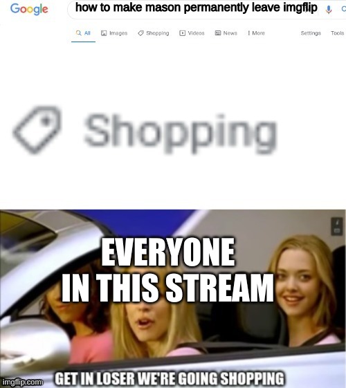 Google search shopping | how to make mason permanently leave imgflip; EVERYONE IN THIS STREAM | image tagged in google search shopping | made w/ Imgflip meme maker
