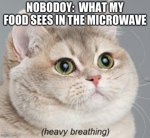 Heavy Breathing Cat Meme | NOBODOY:  WHAT MY FOOD SEES IN THE MICROWAVE | image tagged in memes,heavy breathing cat | made w/ Imgflip meme maker