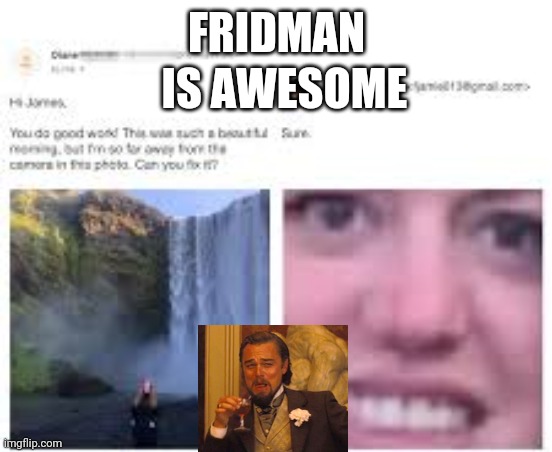 Friedman is.  A W E S O M E | IS AWESOME; FRIDMAN | image tagged in laughing leo | made w/ Imgflip meme maker