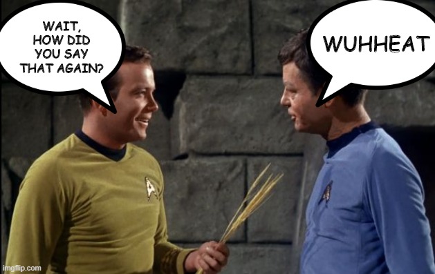 Now Say "Whip" | WUHHEAT; WAIT, HOW DID YOU SAY THAT AGAIN? | image tagged in kirk and mccoy star trek | made w/ Imgflip meme maker