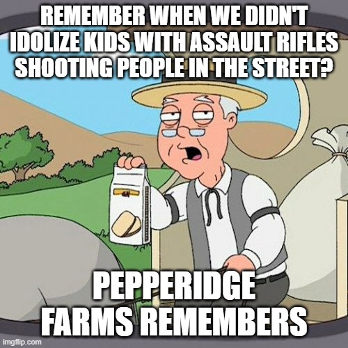 Pepperidge Farm Remembers | REMEMBER WHEN WE DIDN'T IDOLIZE KIDS WITH ASSAULT RIFLES SHOOTING PEOPLE IN THE STREET? PEPPERIDGE FARMS REMEMBERS | image tagged in memes,pepperidge farm remembers | made w/ Imgflip meme maker