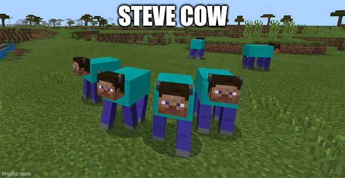 me and the boys | STEVE COW | image tagged in me and the boys | made w/ Imgflip meme maker
