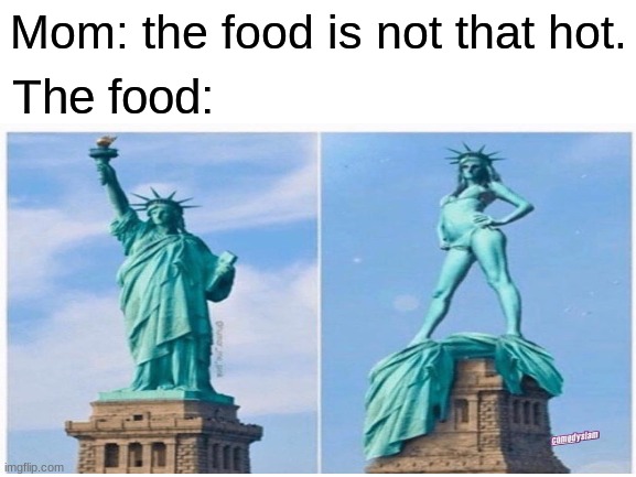 Trump 2020 | The food:; Mom: the food is not that hot. | image tagged in statue of liberty,freedom,trump 2020,republicans | made w/ Imgflip meme maker