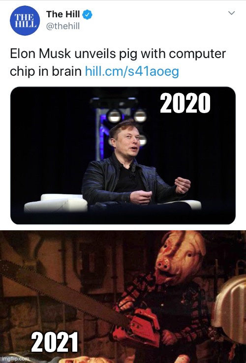 Coming Soon: Killer Pigs | 2020; 2021 | image tagged in elon musk,computer chip,pig,2020,memes | made w/ Imgflip meme maker