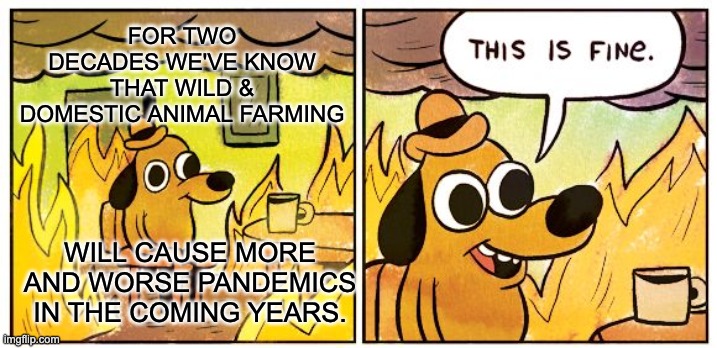 This Is Fine | FOR TWO DECADES WE'VE KNOW THAT WILD & DOMESTIC ANIMAL FARMING; WILL CAUSE MORE AND WORSE PANDEMICS IN THE COMING YEARS. | image tagged in memes,this is fine,go vegan,pandemic,covid-19 | made w/ Imgflip meme maker