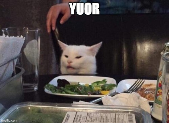 Salad cat | YUOR | image tagged in salad cat | made w/ Imgflip meme maker