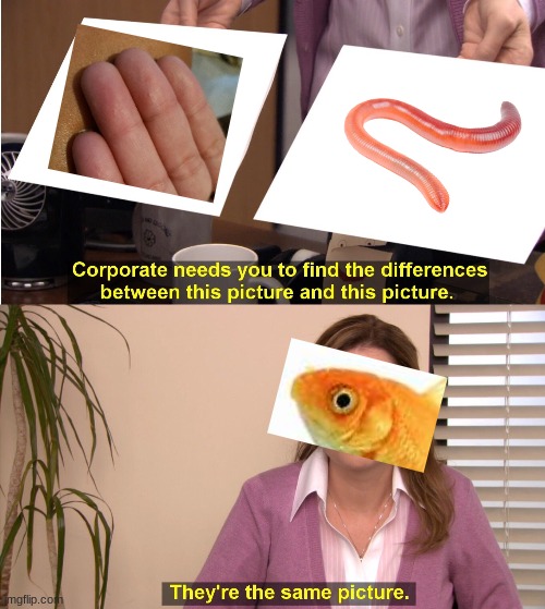 Yummy | image tagged in memes,they're the same picture | made w/ Imgflip meme maker