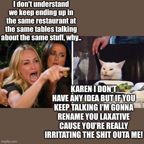 Woman yelling at cat | I don't understand we keep ending up in the same restaurant at the same tables talking about the same stuff, why.. KAREN I DON'T HAVE ANY IDEA BUT IF YOU KEEP TALKING I'M GONNA RENAME YOU LAXATIVE CAUSE YOU'RE REALLY IRRITATING THE SHIT OUTA ME! | image tagged in smudge the cat | made w/ Imgflip meme maker