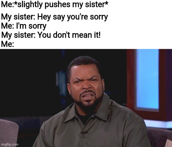 Why does my sister do this? | Me:*slightly pushes my sister*; My sister: Hey say you're sorry; Me: I'm sorry; My sister: You don't mean it! Me: | image tagged in really ice cube | made w/ Imgflip meme maker