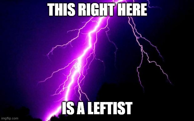 lightning | THIS RIGHT HERE IS A LEFTIST | image tagged in lightning | made w/ Imgflip meme maker