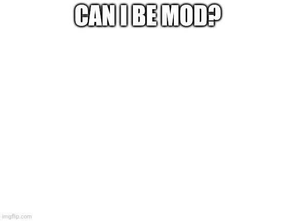 Blank White Template | CAN I BE MOD? | image tagged in blank white template | made w/ Imgflip meme maker