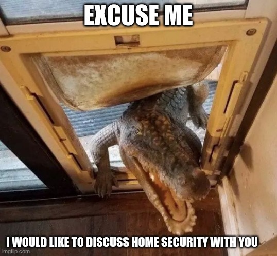Pushy salesman | EXCUSE ME; I WOULD LIKE TO DISCUSS HOME SECURITY WITH YOU | image tagged in gater visit,pushy salesman,friendly gater,hi there,lets take home security,you left you door open | made w/ Imgflip meme maker