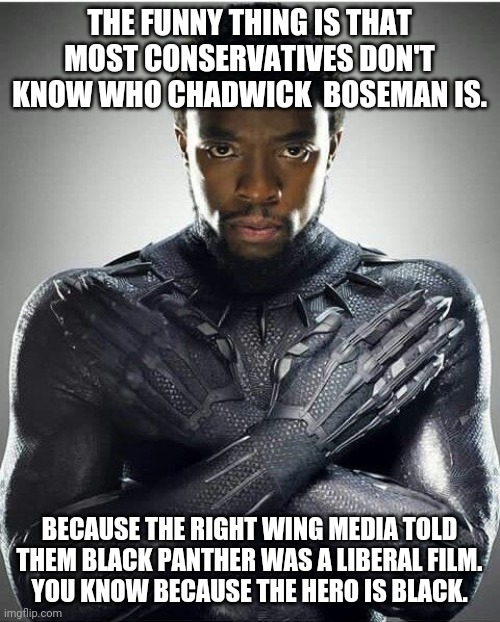 Black panther too liberal for cons | THE FUNNY THING IS THAT MOST CONSERVATIVES DON'T KNOW WHO CHADWICK  BOSEMAN IS. BECAUSE THE RIGHT WING MEDIA TOLD THEM BLACK PANTHER WAS A LIBERAL FILM.
YOU KNOW BECAUSE THE HERO IS BLACK. | image tagged in chadwick boseman,conservatives,trump supporter,racism,blm,black panther | made w/ Imgflip meme maker