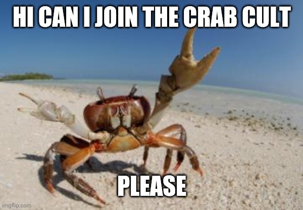 crab | HI CAN I JOIN THE CRAB CULT; PLEASE | image tagged in crab,please | made w/ Imgflip meme maker