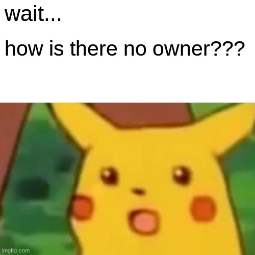There's no owner, just mods |  wait... how is there no owner??? | image tagged in memes,surprised pikachu,no owner,owner,how | made w/ Imgflip meme maker