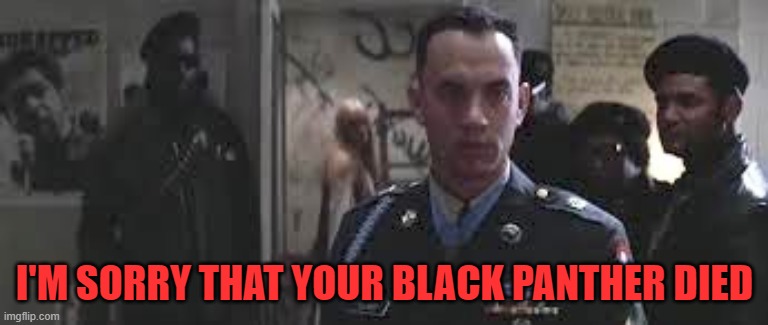 Forrest Gump black panther | I'M SORRY THAT YOUR BLACK PANTHER DIED | image tagged in forrest gump black panther,chadwick boseman,marvel,black panther | made w/ Imgflip meme maker
