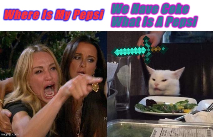 Woman Yelling At Cat | Where Is My Pepsi; We Have Coke What Is A Pepsi | image tagged in memes,woman yelling at cat | made w/ Imgflip meme maker