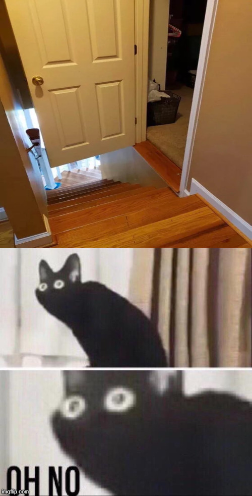 !!! | image tagged in oh no cat | made w/ Imgflip meme maker