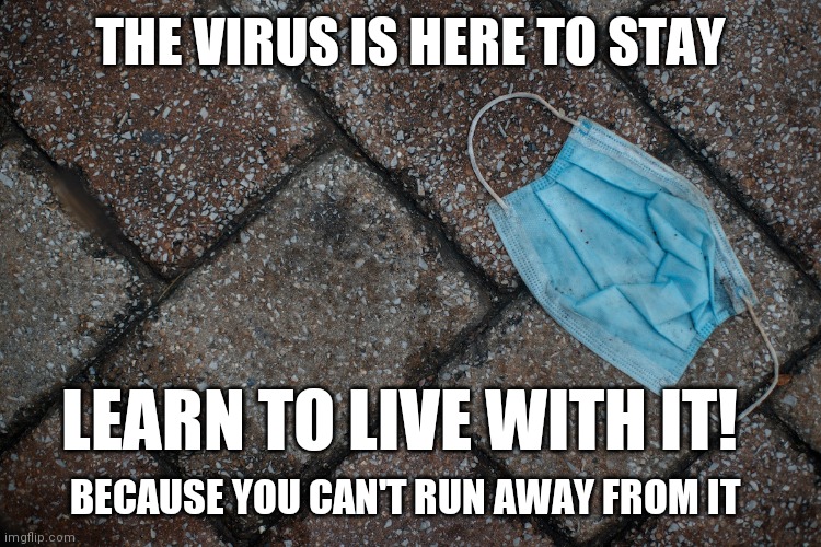 Face up to Covid | THE VIRUS IS HERE TO STAY; LEARN TO LIVE WITH IT! BECAUSE YOU CAN'T RUN AWAY FROM IT | image tagged in coronavirus meme,covid 19,covid-19,coronavirus | made w/ Imgflip meme maker