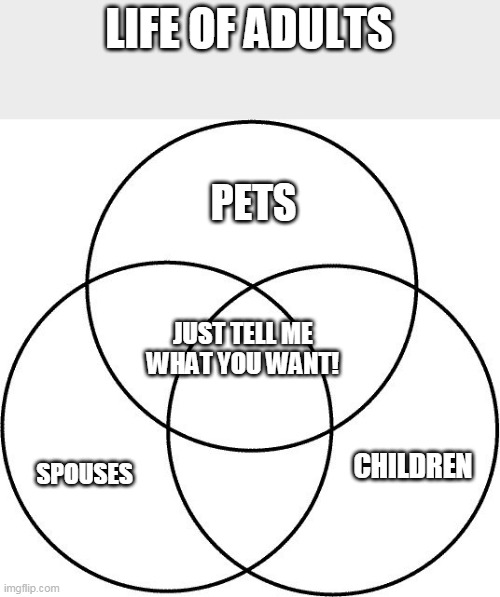 Just tell me what you want! | LIFE OF ADULTS; PETS; JUST TELL ME WHAT YOU WANT! CHILDREN; SPOUSES | image tagged in venn diagram | made w/ Imgflip meme maker