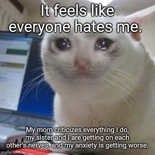 I know that people care about me, but dang, it hurts to be this depressed more often. | It feels like everyone hates me. My mom criticizes everything I do, my sister and I are getting on each other's nerves, and my anxiety is getting worse. | image tagged in crying cat | made w/ Imgflip meme maker