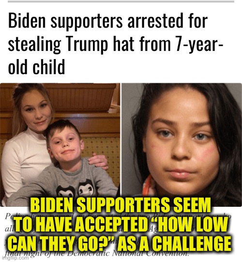 Biden supporters | BIDEN SUPPORTERS SEEM TO HAVE ACCEPTED “HOW LOW CAN THEY GO?” AS A CHALLENGE | image tagged in joe biden,democrats,liberal logic,election 2020,triggered liberal,memes | made w/ Imgflip meme maker