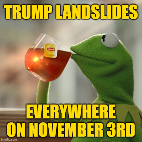 But That's None Of My Business Meme | TRUMP LANDSLIDES EVERYWHERE ON NOVEMBER 3RD | image tagged in memes,but that's none of my business,kermit the frog | made w/ Imgflip meme maker