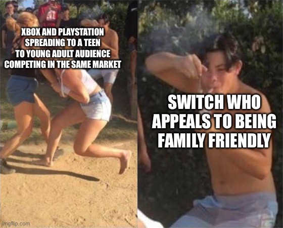 Two girls fighting | XBOX AND PLAYSTATION SPREADING TO A TEEN TO YOUNG ADULT AUDIENCE COMPETING IN THE SAME MARKET SWITCH WHO APPEALS TO BEING FAMILY FRIENDLY | image tagged in two girls fighting | made w/ Imgflip meme maker