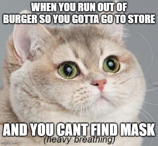 I'm hungry already and its its 32 minutes since i last ate! | WHEN YOU RUN OUT OF BURGER SO YOU GOTTA GO TO STORE; AND YOU CANT FIND MASK | image tagged in memes,heavy breathing cat | made w/ Imgflip meme maker