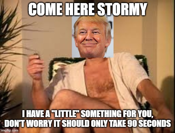 Trump | COME HERE STORMY; I HAVE A "LITTLE" SOMETHING FOR YOU, DON'T WORRY IT SHOULD ONLY TAKE 90 SECONDS | image tagged in trump story daniels | made w/ Imgflip meme maker