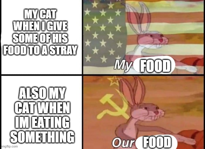 Bugs Bunny My Our | MY CAT WHEN I GIVE SOME OF HIS FOOD TO A STRAY; FOOD; ALSO MY CAT WHEN IM EATING SOMETHING; FOOD | image tagged in bugs bunny my our,cats | made w/ Imgflip meme maker