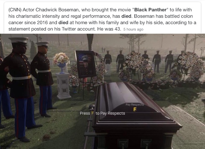 We lost a legend | image tagged in press f to pay respects,black panther,wakanda forever | made w/ Imgflip meme maker