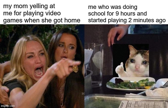 imma just agree so she'll  stop yelling | my mom yelling at me for playing video games when she got home; me who was doing school for 9 hours and started playing 2 minutes ago | image tagged in memes,woman yelling at cat,crying,crying cat,videogames,mom | made w/ Imgflip meme maker